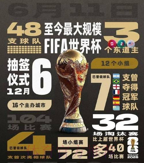 深入解析世界杯决赛下注网：赛事预测与博彩策略